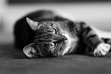 comp_IMG_9975.jpg