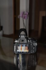 D72_1042.JPG