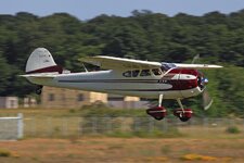 Cessna195-NC308IB-500.jpg
