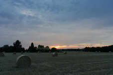 DSC_2494-1-2.jpg