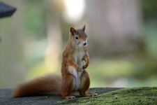 comp_DSC_8834.jpg
