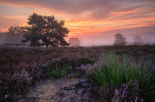 IMG_7769-Bearbeitet-3.jpg