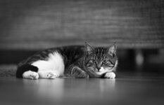 comp_IMG_0391.jpg