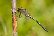 D3B_5118-1.JPG