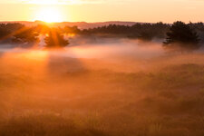 Mehlinger Heide, Pfalz-5.jpg