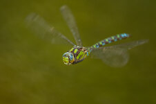 D3B_5378-1.JPG