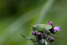 compIMG_3697.jpg