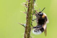 compIMG_3701.jpg