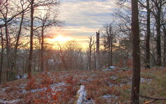 IMG_0001.jpg