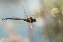 web_DSC06845.jpg