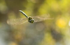 web_DSC06846.jpg