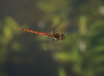 web_DSC07178.jpg