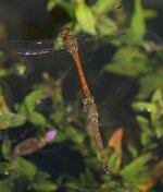 web_DSC07186.jpg