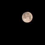 DSCF3919_dslr.jpg