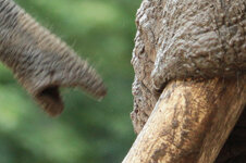 IMG_8597 c100.jpg