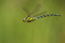 D3B_5854-1.JPG