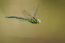 D3B_5912-1.JPG