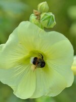 comp_1DSC_0845.jpg