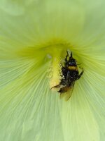 comp_1DSC_0848.jpg