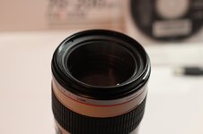 IMG_7237 (1280x853) (1024x682).jpg