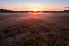 Mehlinger Heide_9977.jpg