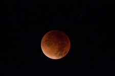 IMG_7015-conv.jpg