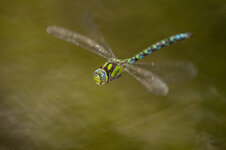 D3B_6460-1.JPG