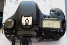 5d3kl-4913.jpg