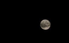 IMG_2487comp.jpg