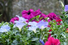 20130506_1037.jpg