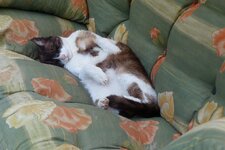 20130506_0994.jpg