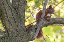 comp_1IMG_7570-2.jpg