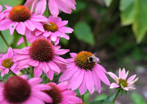DSCF9754_DSLR.jpg