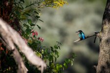 comp_IMG_3198.jpg