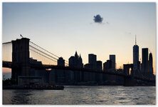 NY8-2015.jpg