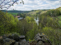 P5028376.jpg