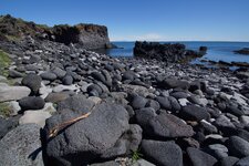 DSC06675.jpg
