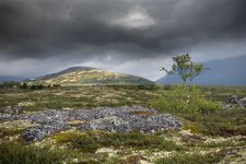 Clouds over Dovrefjell500.jpg