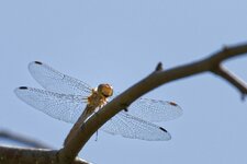 comp_IMG_5871.jpg