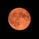 IMG_2183-2.jpg