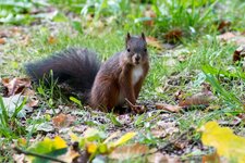 compIMG_5014.jpg