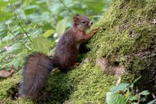 compIMG_5019.jpg