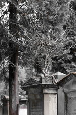 4_IMG_1998_DxO_raw_DxOVP_DxOFP_Preußisch Rot_1.jpg