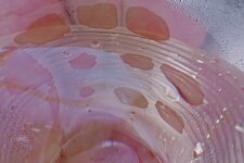 P5230157 Kopie.JPG