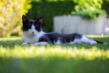 Dslr_0449.jpg
