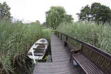 IMG_6902b.jpg
