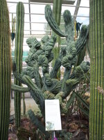 PL306369a.JPG