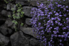 20130520_84.jpg