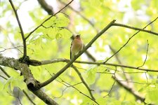 IMG_6485.jpg IMG_6485.jpg