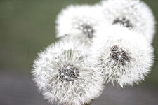 20130520_89.jpg